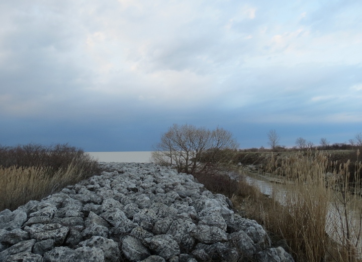 Herp Habitat